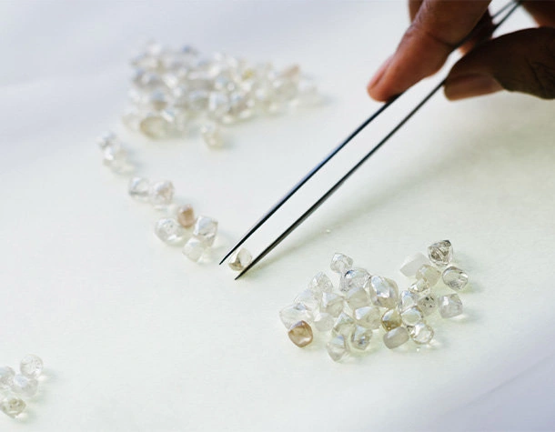 Products Rough diamonds (2)